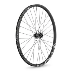 Dt-swiss FR 1950 Classic 30 Disc BOOST Roue Avant Vtt 27,5"