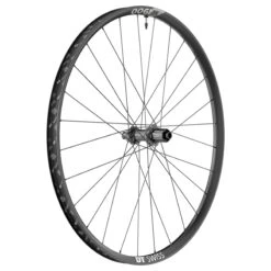 Dt-swiss M 1900 Spline® 30 SHIMANO HG Disc Roue Arrière Vtt 29" 2022