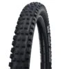 Schwalbe Magic Mary Performance Line ADDIX Tube Pneu Vtt Tringle Rigide